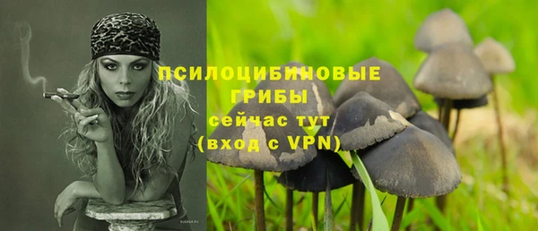 прущие грибы Абдулино