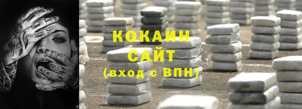 прущие грибы Абдулино