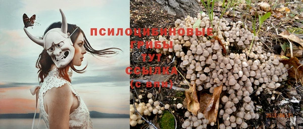 хмурый Пестово