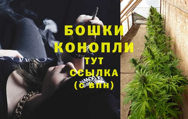прущие грибы Абдулино