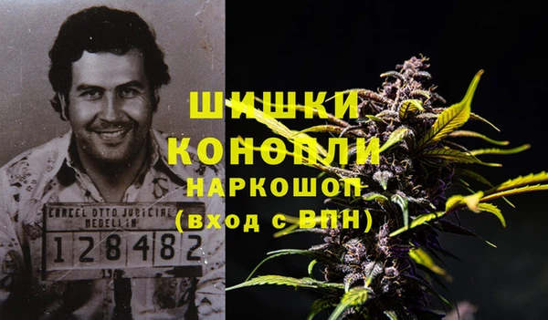 хмурый Пестово