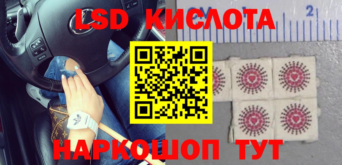Меф мяу мяу Кингисепп