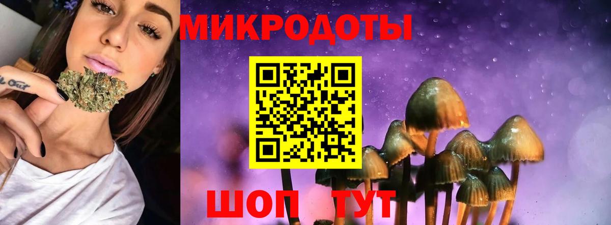 Кингисепп  Псилоцибиновые грибы ЛСД  Вход с VPN 