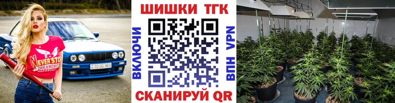 мега ТОР  Кингисепп  Бошки марихуана SATIVA & INDICA 