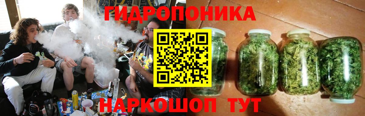 Каннабис семена  Марихуана Bruce Banner  Бошки марихуана Bruce Banner  Кингисепп  Шишки марихуана AK-47  Вход с VPN 